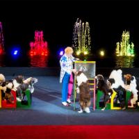 Цирк Танцующих Фонтанов «Аквамарин»